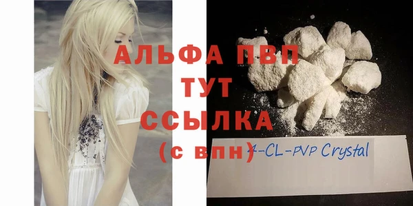 шишки Каменногорск